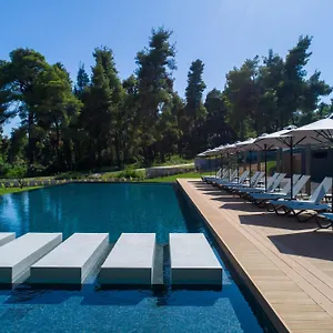 https://sani-more.hotelschalkidiki.net